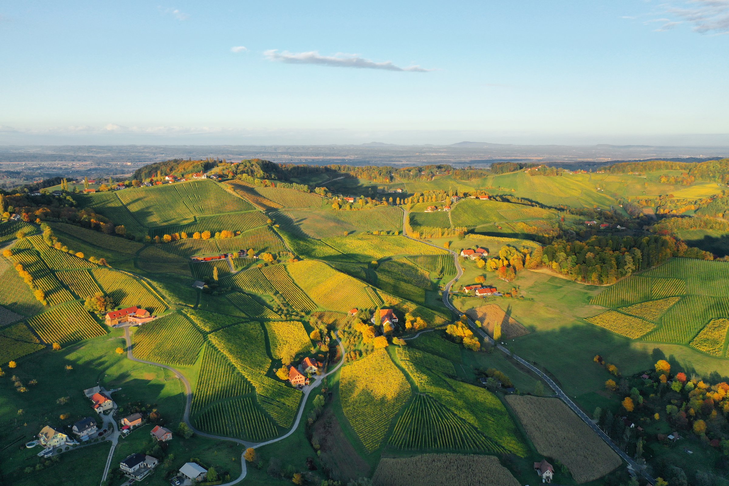 Hügellandschaft und Weinberge der Südsteiermark mit weitem Panorama rund um den Wurzenberg.