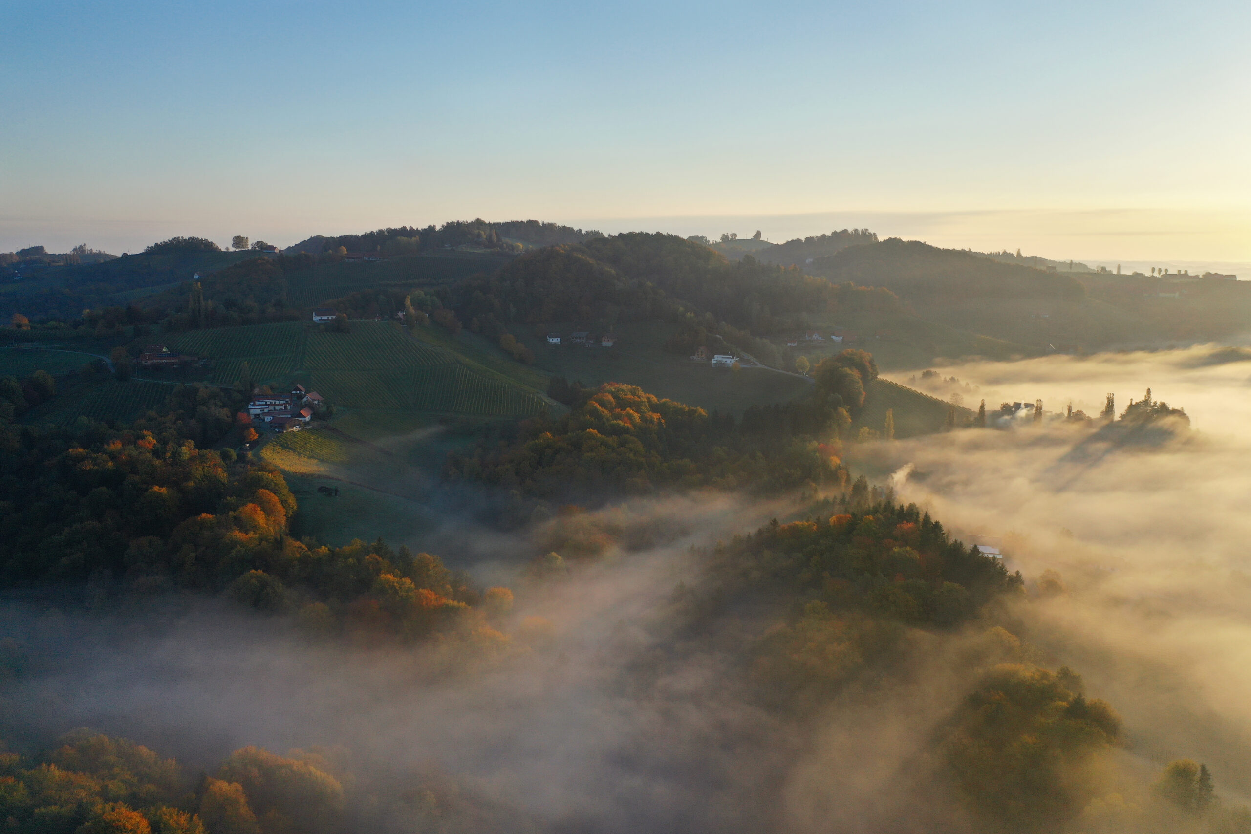Panoramablick über die Südsteiermark mit Nebel und Hügeln rund um den Wurzenberg.