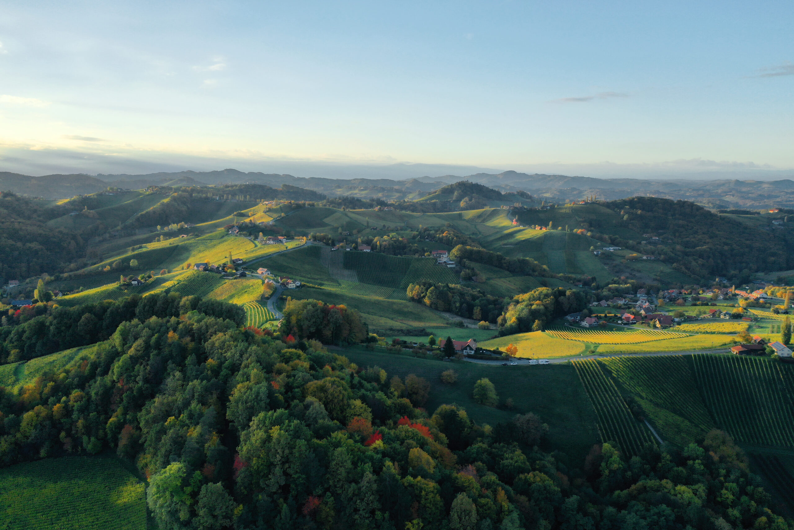 Luftaufnahme der Südsteiermark mit Weinbergen und Hügeln rund um den Wurzenberg.