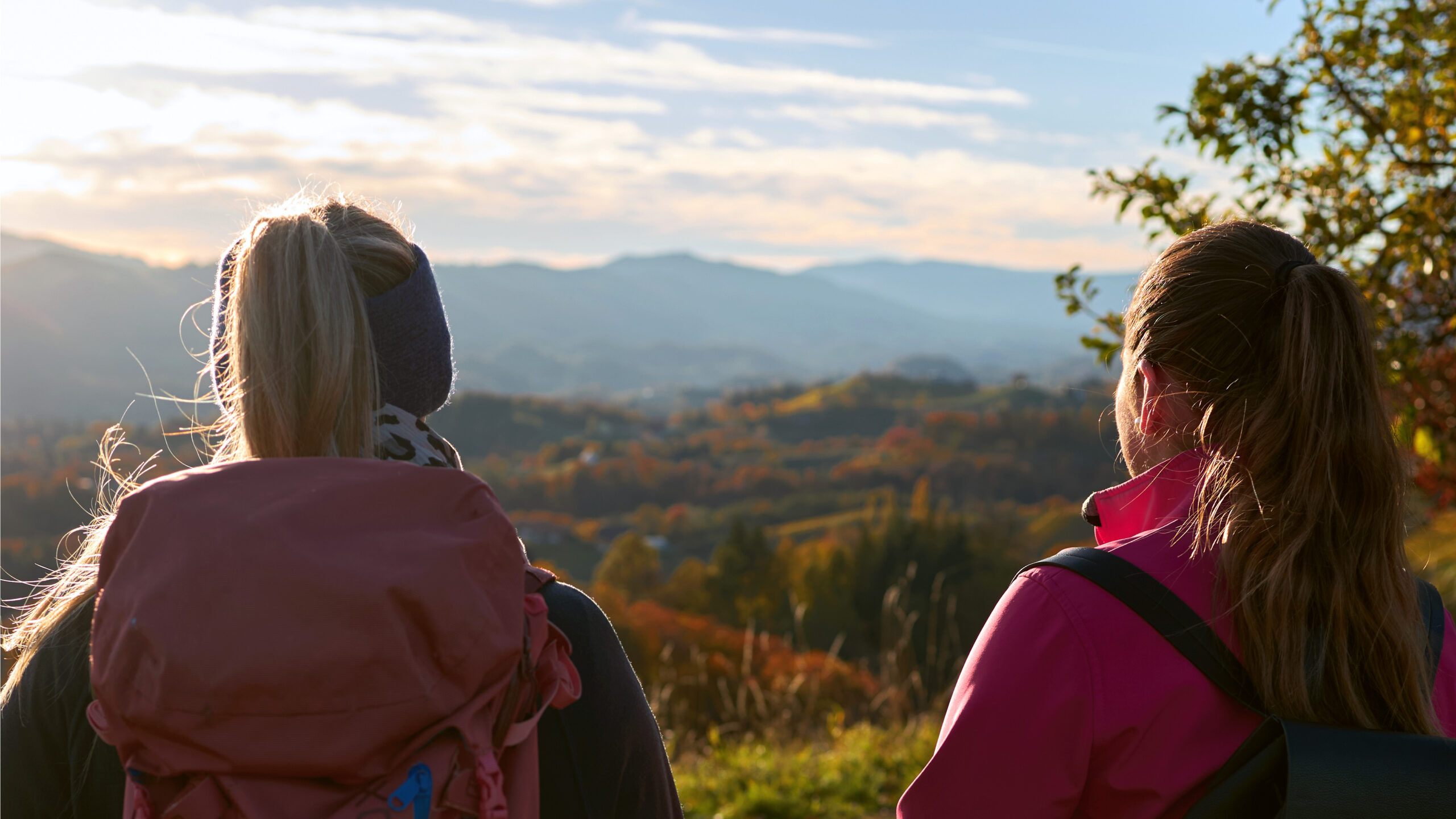 Ausblick über die Südsteiermark beim Wander nahe dem Wurzenberg.