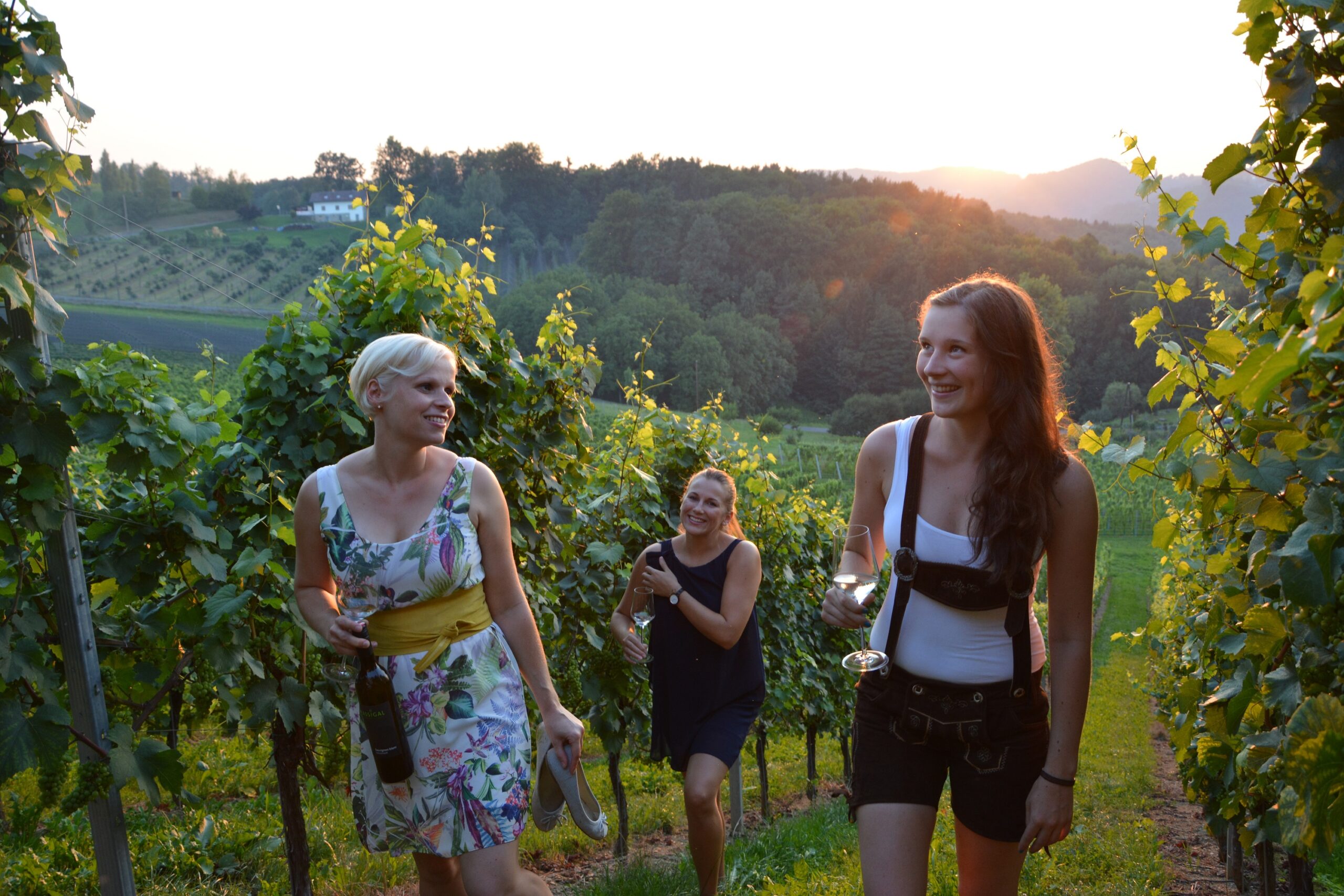 Unterwegs in den Weinbergen der Südsteiermark, nahe dem Wurzenberg.
