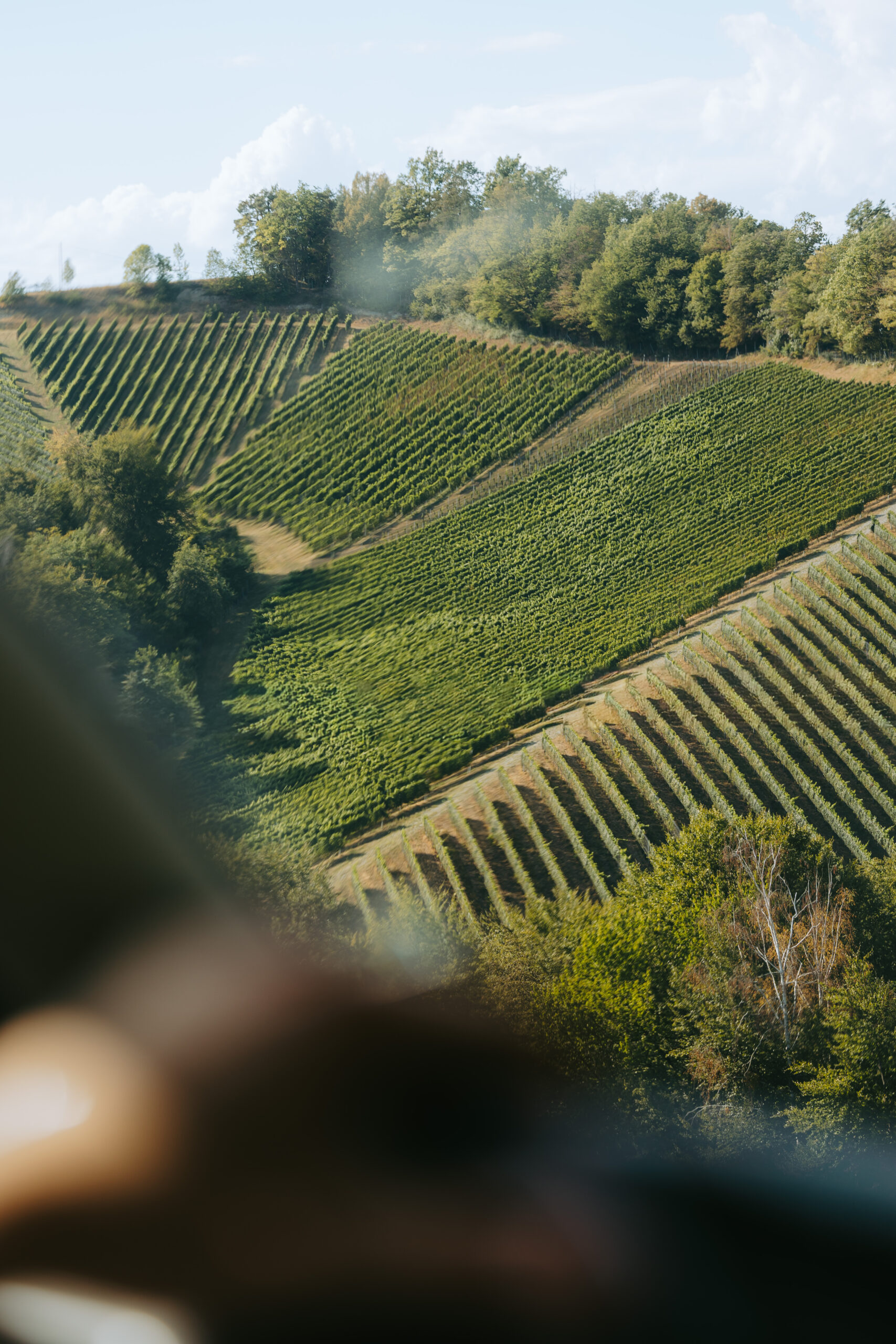 Vineyards in Southern Styria seen from Wurzenberg.