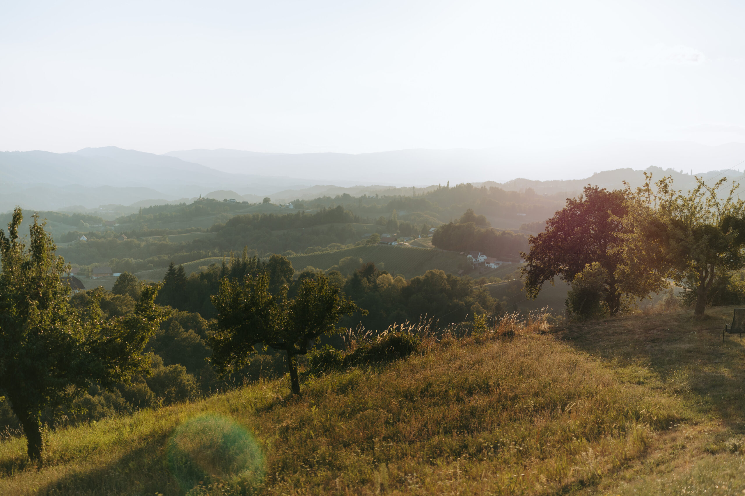 Ruhiger Panoramablick über die südsteirische Landschaft im Abendlicht.